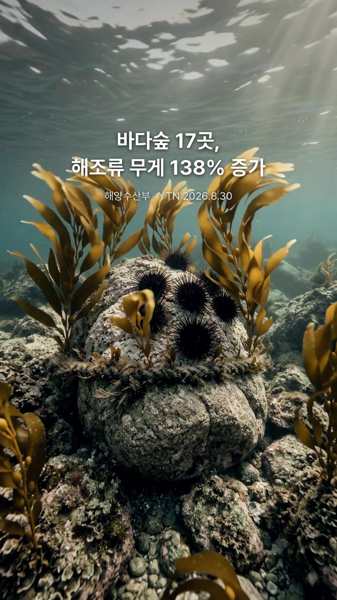 Scene 5 · The numbers: 17 sea forests completed in the last four years: seaweed weight up 138%.