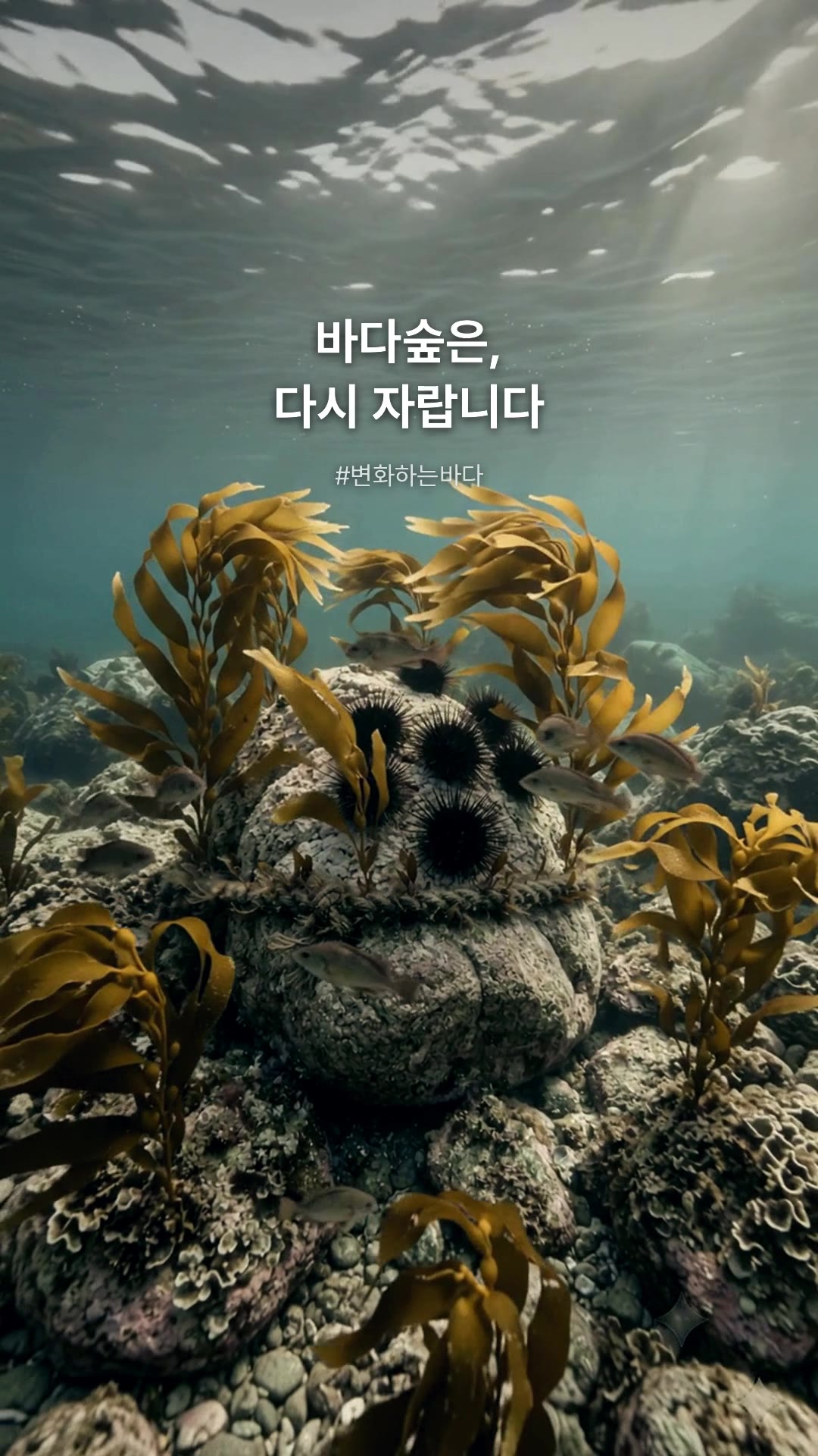 Scene 6 · The loop: Sea forests grow back. And the video returns to its first frame.